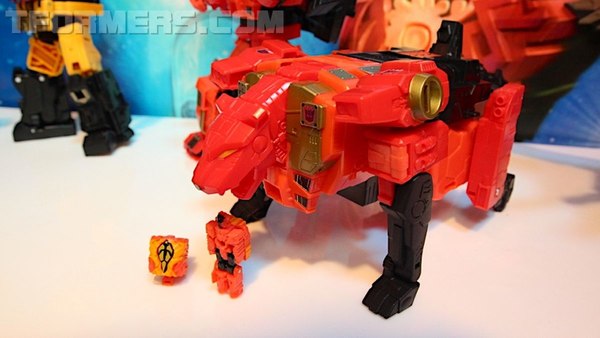 Transformers Predaking 58  (191 of 194)